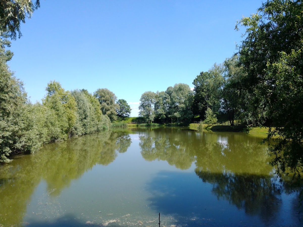 Agriturismo La Soldanella - 5